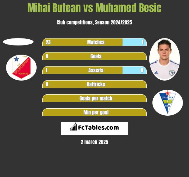 Mihai Butean vs Muhamed Besic h2h player stats