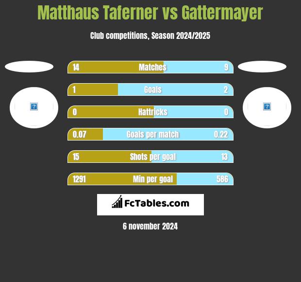 Matthaus Taferner vs Gattermayer h2h player stats