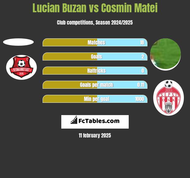 Lucian Buzan vs Cosmin Matei h2h player stats