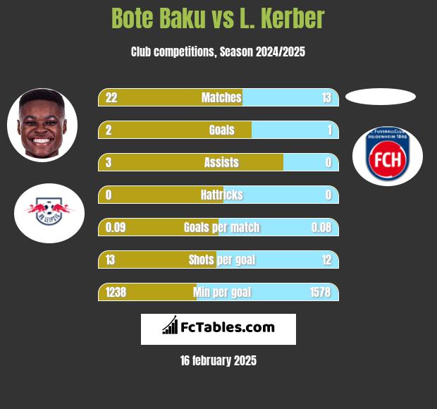 Bote Baku vs L. Kerber h2h player stats