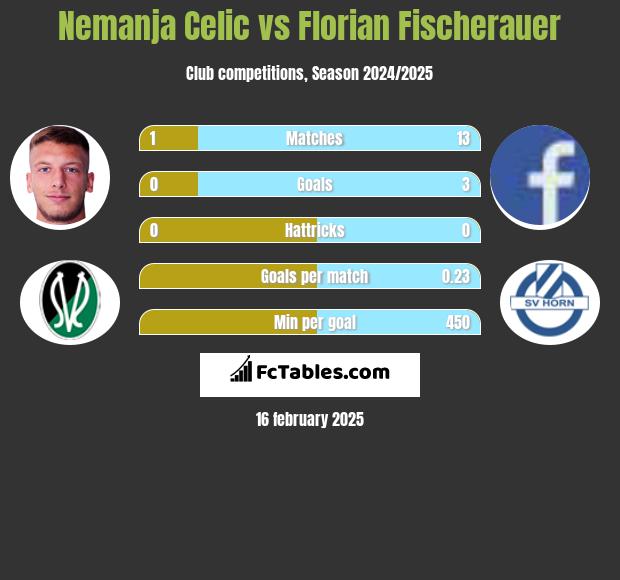 Nemanja Celic vs Florian Fischerauer h2h player stats