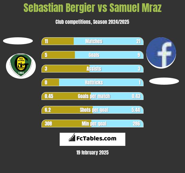 Sebastian Bergier vs Samuel Mraz h2h player stats