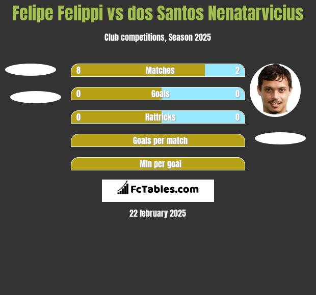 Felipe Felippi vs dos Santos Nenatarvicius h2h player stats