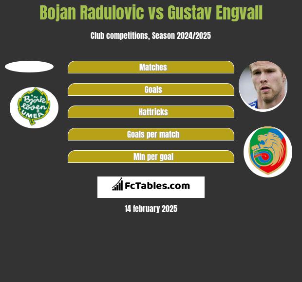 Bojan Radulovic vs Gustav Engvall h2h player stats