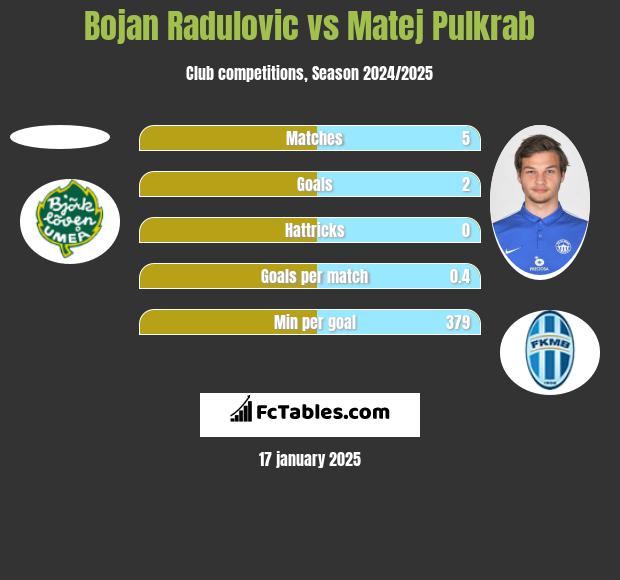 Bojan Radulovic vs Matej Pulkrab h2h player stats