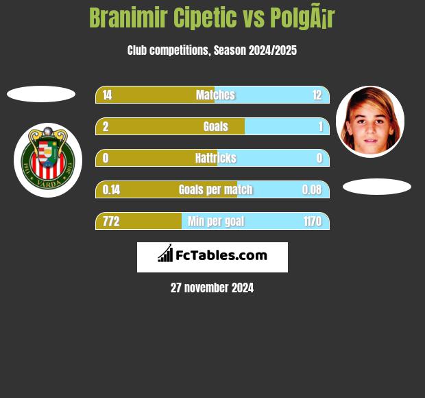 Branimir Cipetic vs PolgÃ¡r h2h player stats