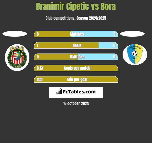 Branimir Cipetic vs Bora h2h player stats