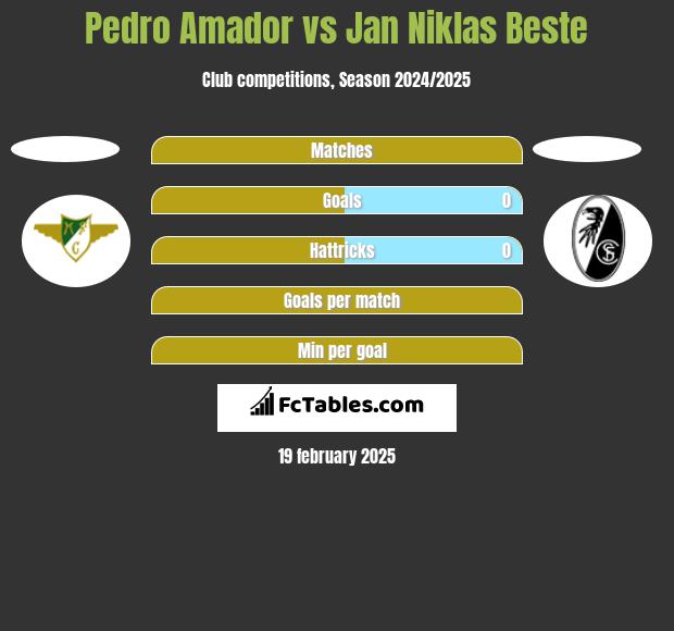 Pedro Amador vs Jan Niklas Beste h2h player stats