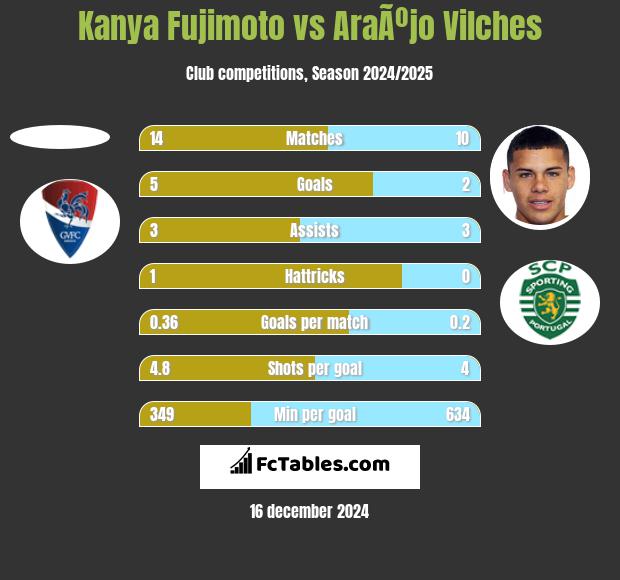 Kanya Fujimoto vs AraÃºjo Vilches h2h player stats