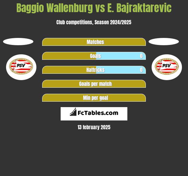 Baggio Wallenburg vs E. Bajraktarevic h2h player stats