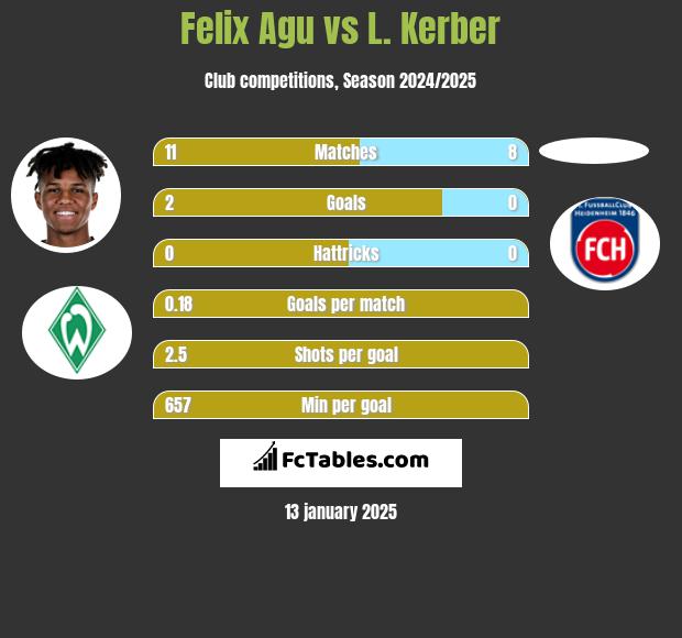 Felix Agu vs L. Kerber h2h player stats