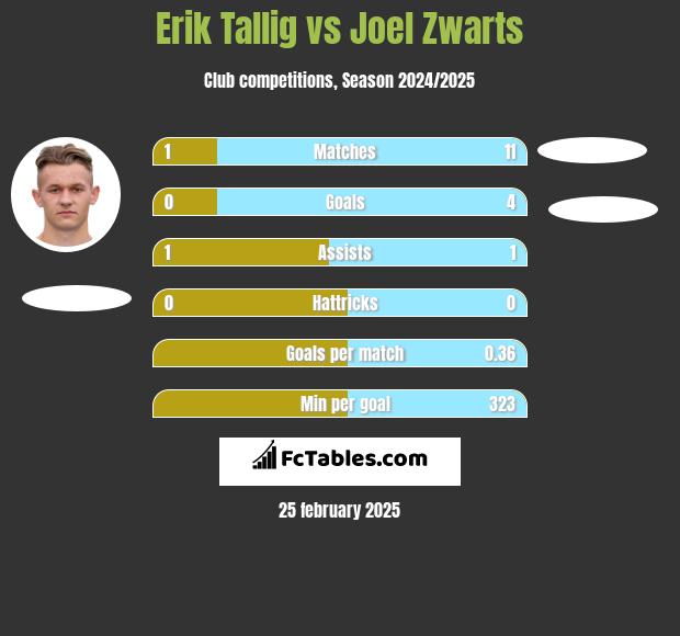 Erik Tallig vs Joel Zwarts h2h player stats