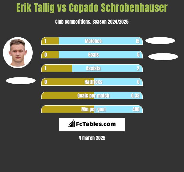 Erik Tallig vs Copado Schrobenhauser h2h player stats