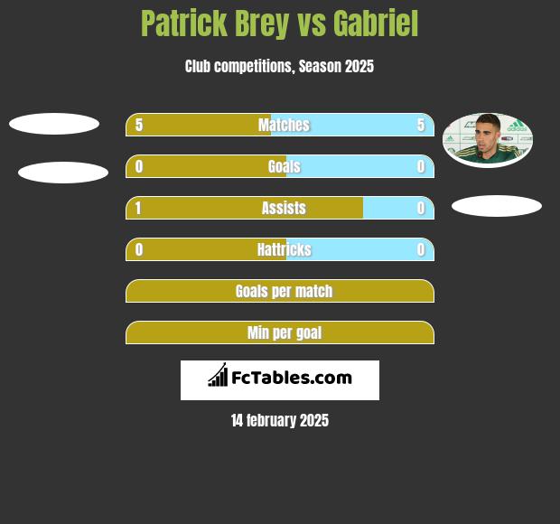 Patrick Brey vs Gabriel h2h player stats