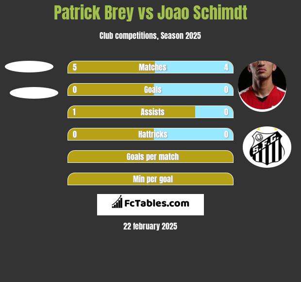 Patrick Brey vs Joao Schimdt h2h player stats