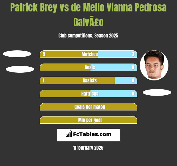 Patrick Brey vs de Mello Vianna Pedrosa GalvÃ£o h2h player stats