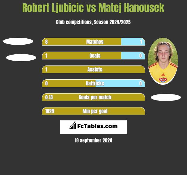 Robert Ljubicic vs Matej Hanousek h2h player stats