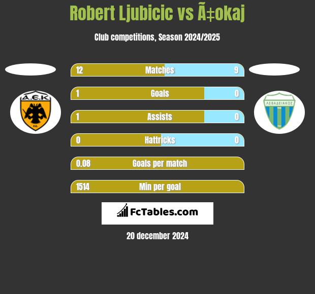 Robert Ljubicic vs Ã‡okaj h2h player stats