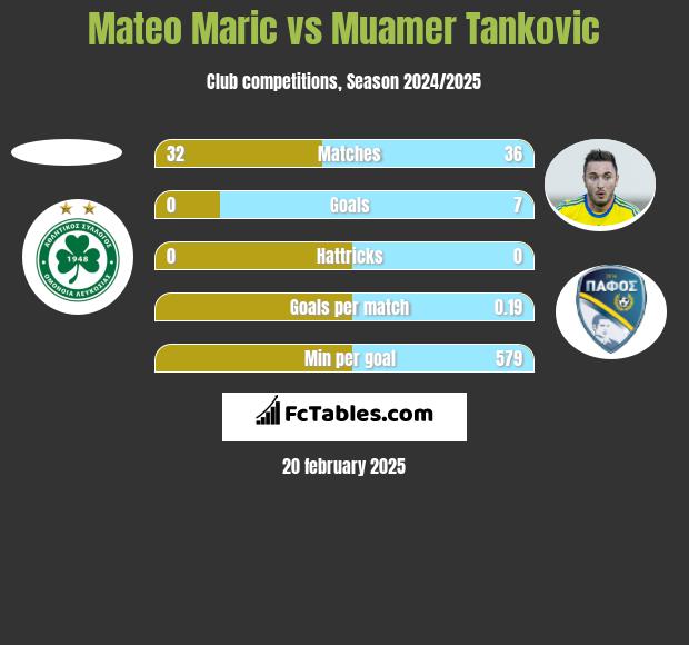 Mateo Maric vs Muamer Tankovic h2h player stats