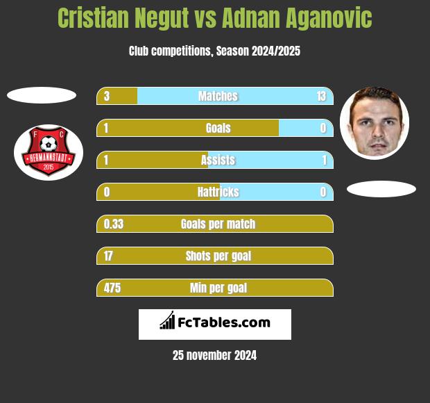 Cristian Negut vs Adnan Aganovic h2h player stats