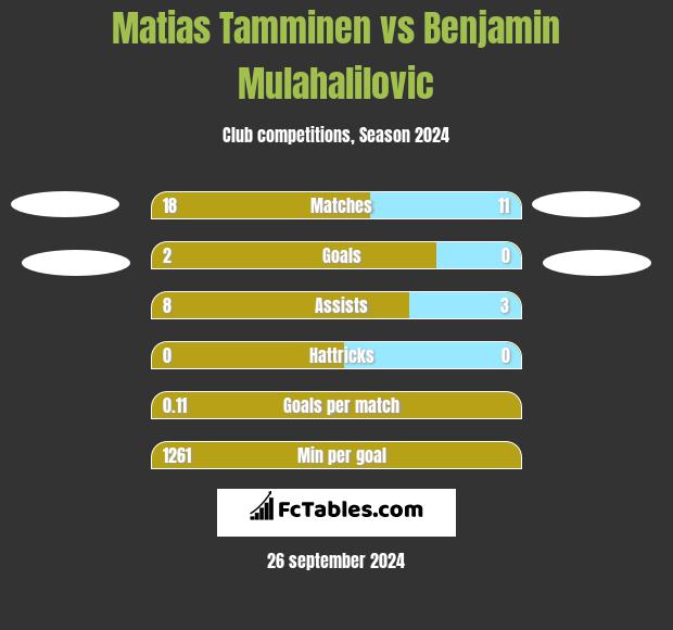 Matias Tamminen vs Benjamin Mulahalilovic h2h player stats