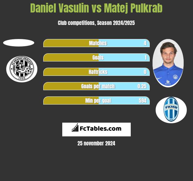 Daniel Vasulin vs Matej Pulkrab h2h player stats