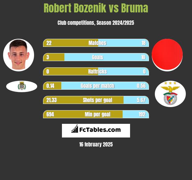 Robert Bozenik vs Bruma h2h player stats