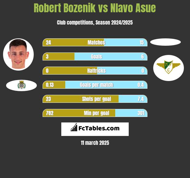 Robert Bozenik vs Nlavo Asue h2h player stats