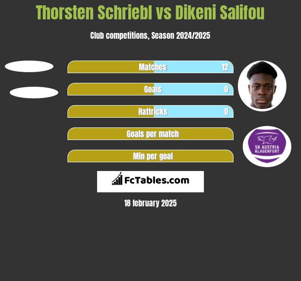 Thorsten Schriebl vs Dikeni Salifou h2h player stats