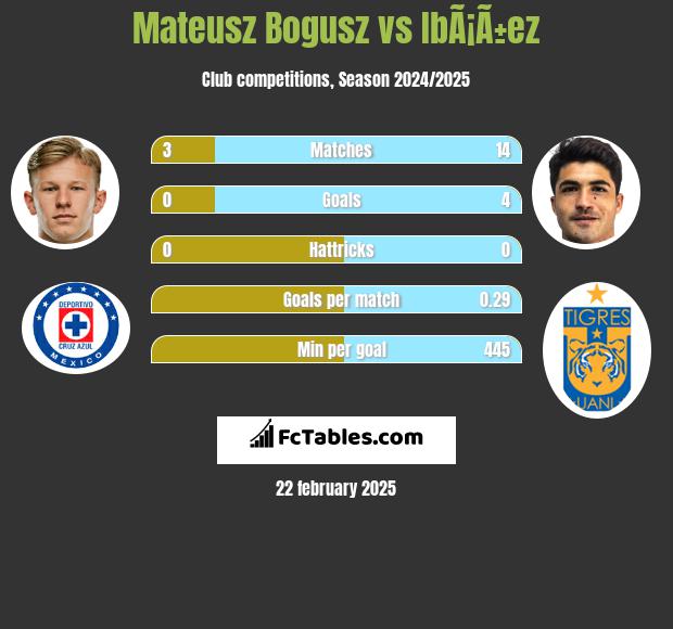 Mateusz Bogusz vs IbÃ¡Ã±ez h2h player stats