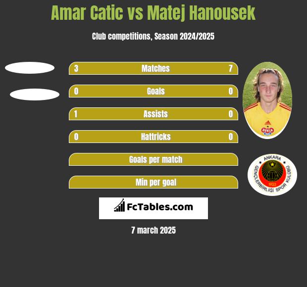 Amar Catic vs Matej Hanousek h2h player stats