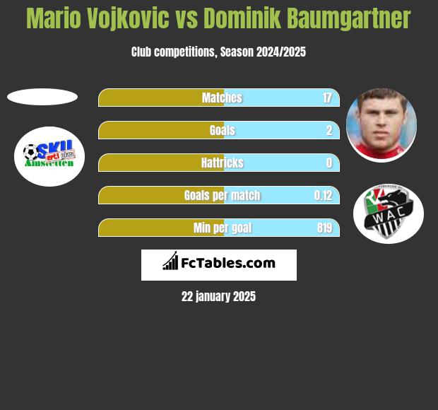 Mario Vojkovic vs Dominik Baumgartner h2h player stats