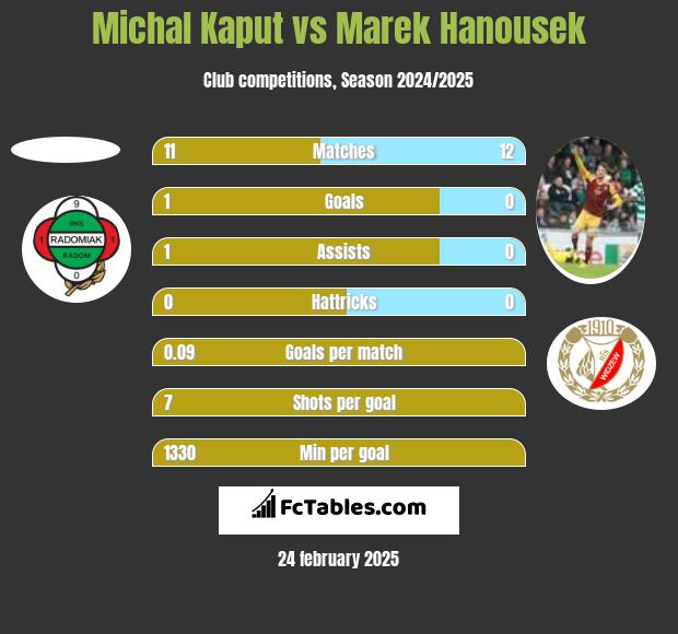 Michal Kaput vs Marek Hanousek h2h player stats