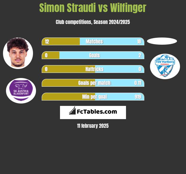 Simon Straudi vs Wilfinger h2h player stats