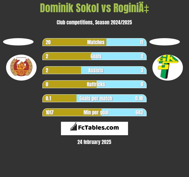 Dominik Sokol vs RoginiÄ‡ h2h player stats