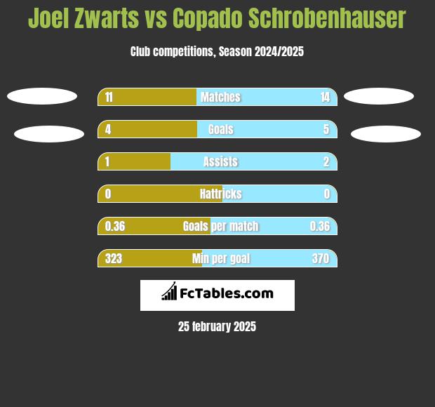 Joel Zwarts vs Copado Schrobenhauser h2h player stats