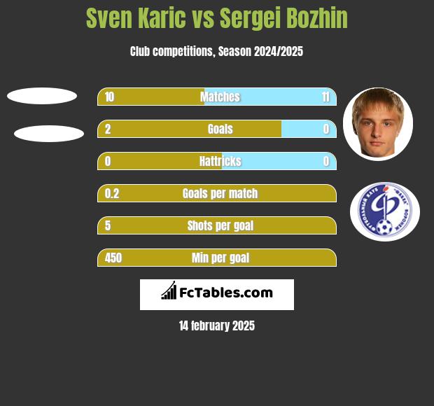 Sven Karic vs Sergei Bozhin h2h player stats