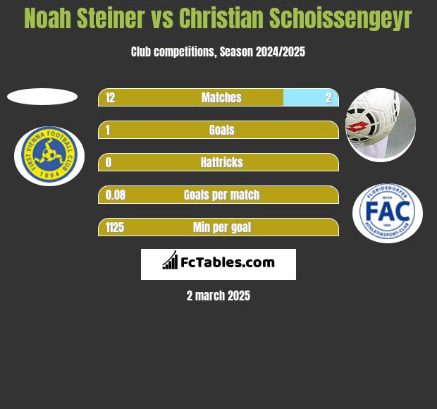 Noah Steiner vs Christian Schoissengeyr h2h player stats