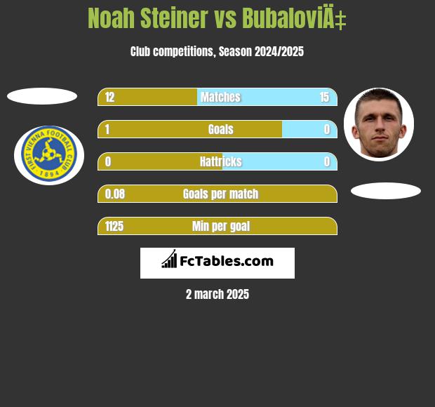 Noah Steiner vs BubaloviÄ‡ h2h player stats