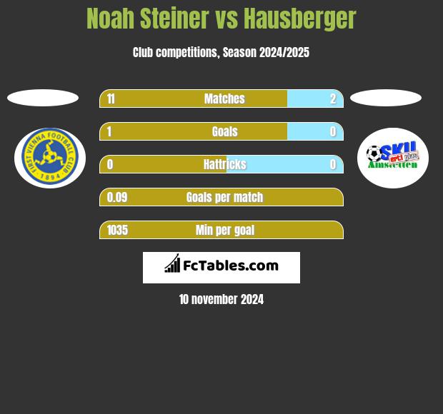 Noah Steiner vs Hausberger h2h player stats