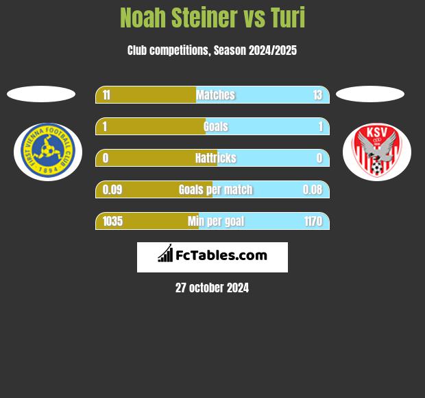 Noah Steiner vs Turi h2h player stats