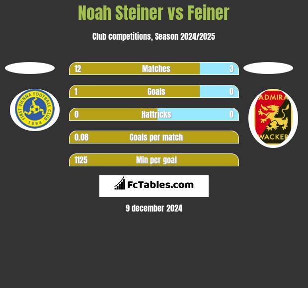 Noah Steiner vs Feiner h2h player stats