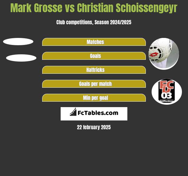 Mark Grosse vs Christian Schoissengeyr h2h player stats