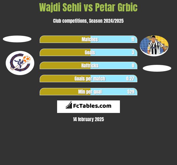 Wajdi Sehli vs Petar Grbić h2h player stats