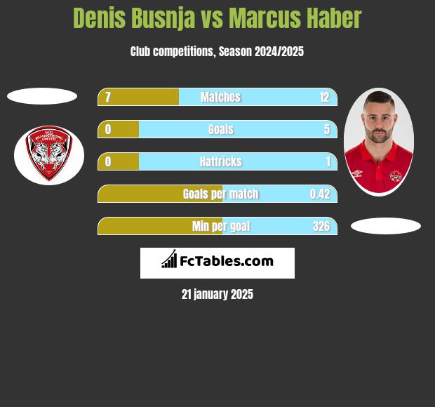 Denis Busnja vs Marcus Haber h2h player stats