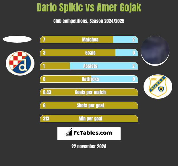 Dario Spikic vs Amer Gojak h2h player stats