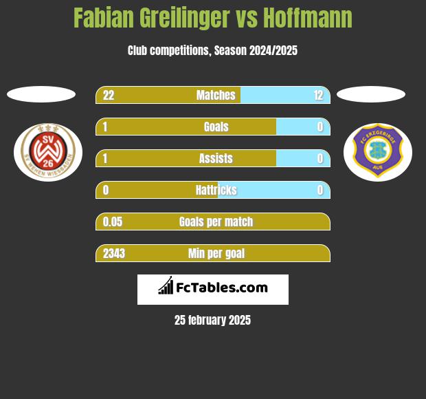 Fabian Greilinger vs Hoffmann h2h player stats