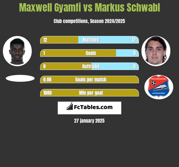 Maxwell Gyamfi vs Markus Schwabl h2h player stats