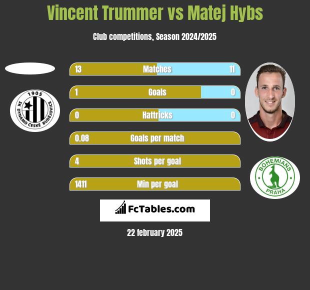 Vincent Trummer vs Matej Hybs h2h player stats