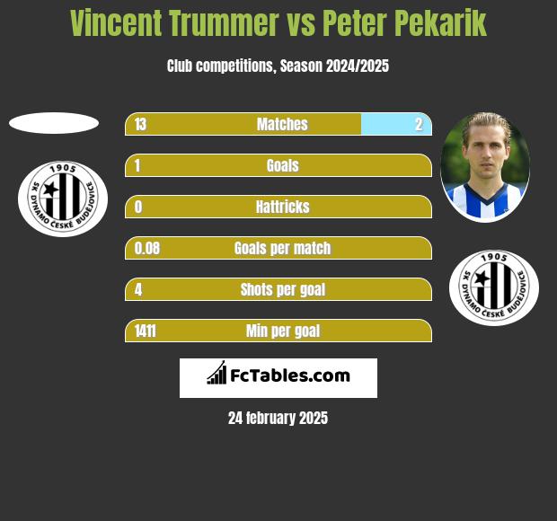 Vincent Trummer vs Peter Pekarik h2h player stats